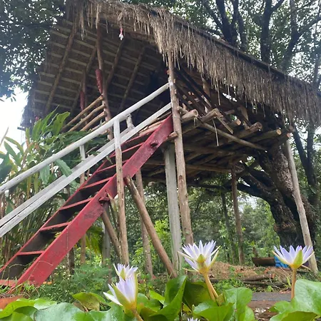 Coorg Coffee Park Farmstay Somvarpet Exterior photo