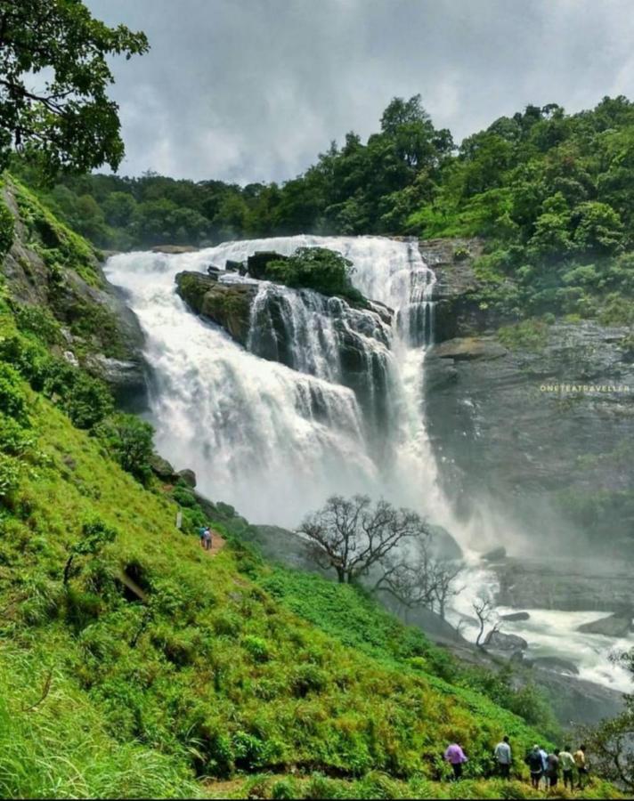 Coorg Coffee Park Homestay