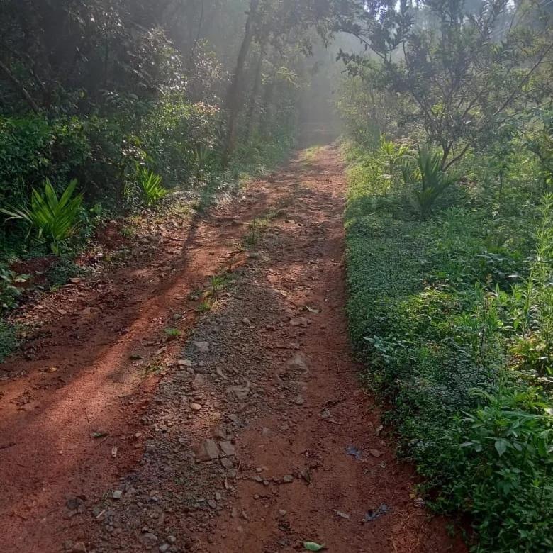 Coorg Coffee Park Homestay *