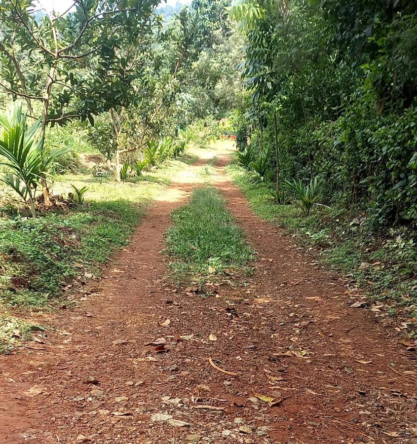 Coorg Coffee Park Homestay