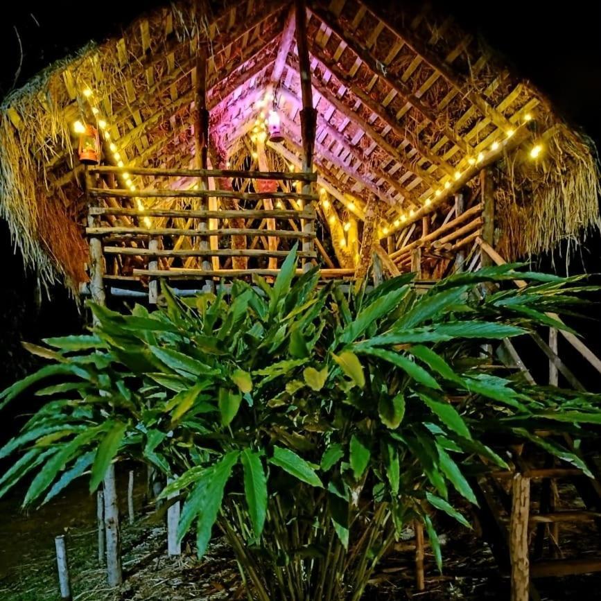 Coorg Coffee Park