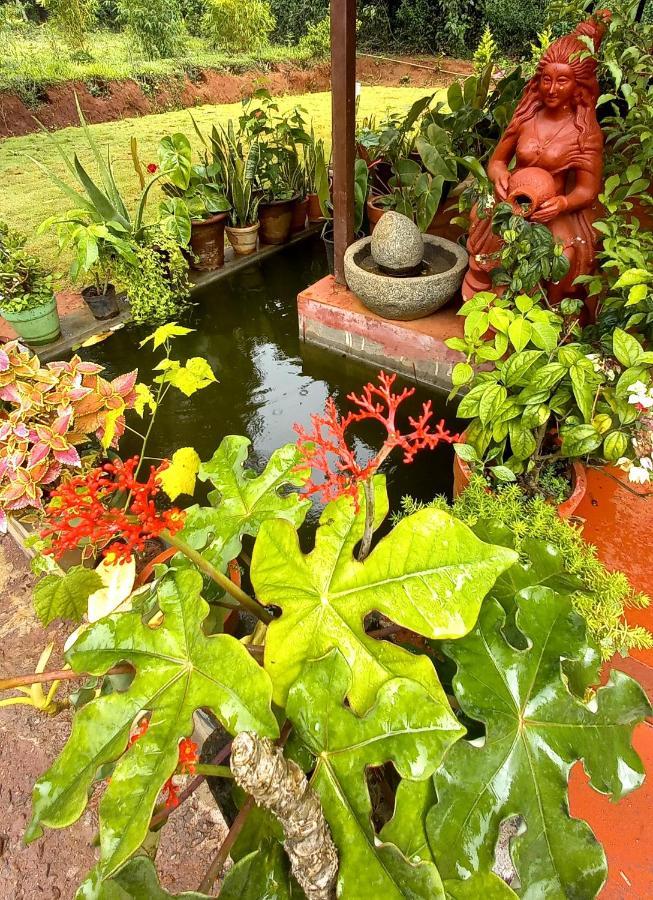 Coorg Coffee Park