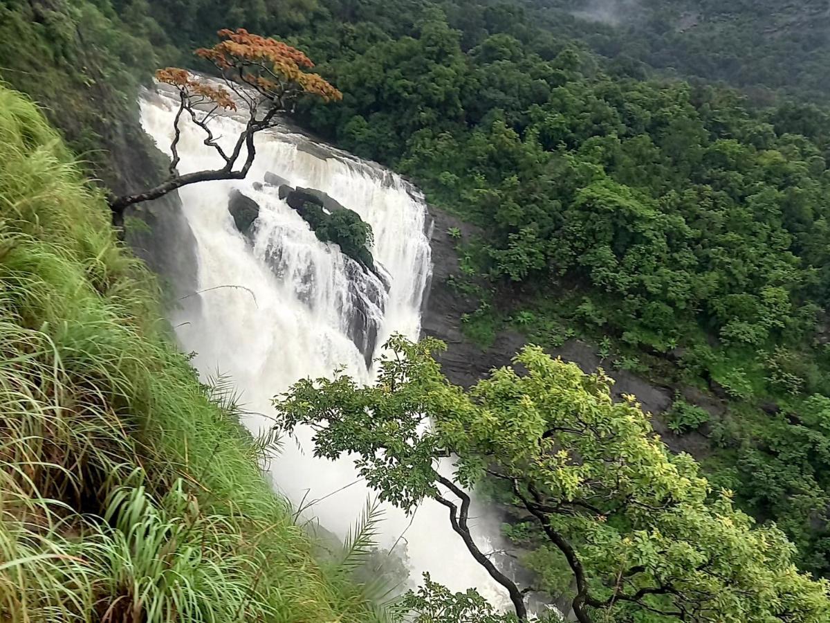 Homestay Coorg Coffee Park *