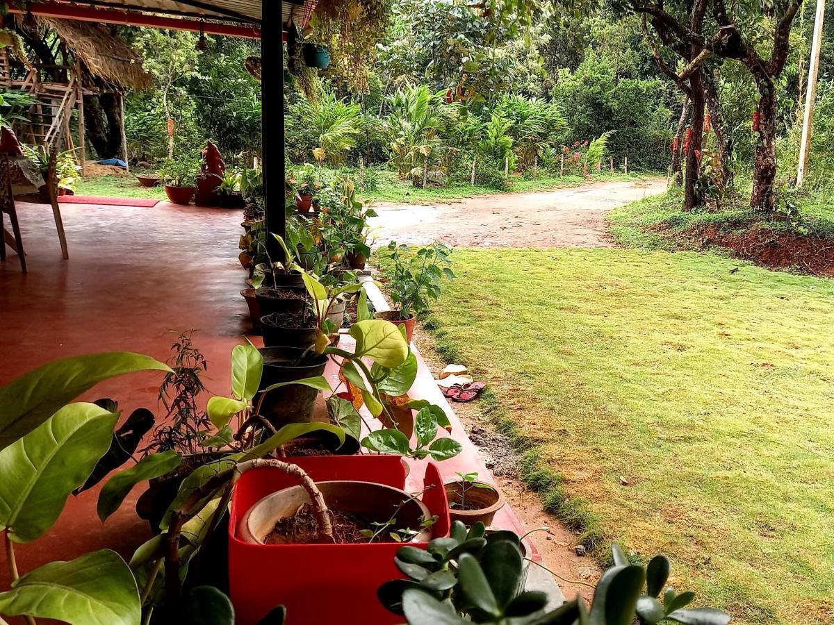 Coorg Coffee Park Homestay
