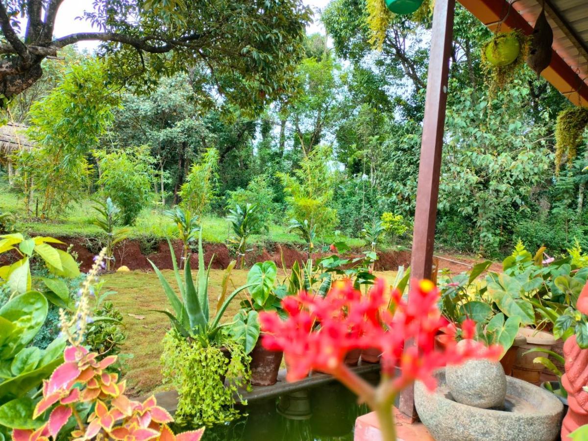 Homestay Coorg Coffee Park *