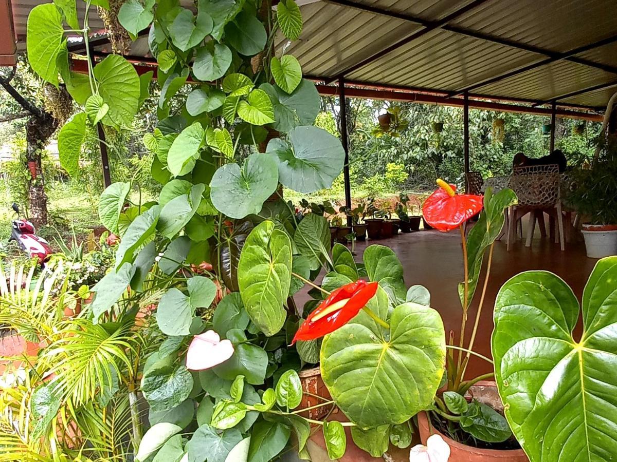 Homestay Coorg Coffee Park Somvarpet