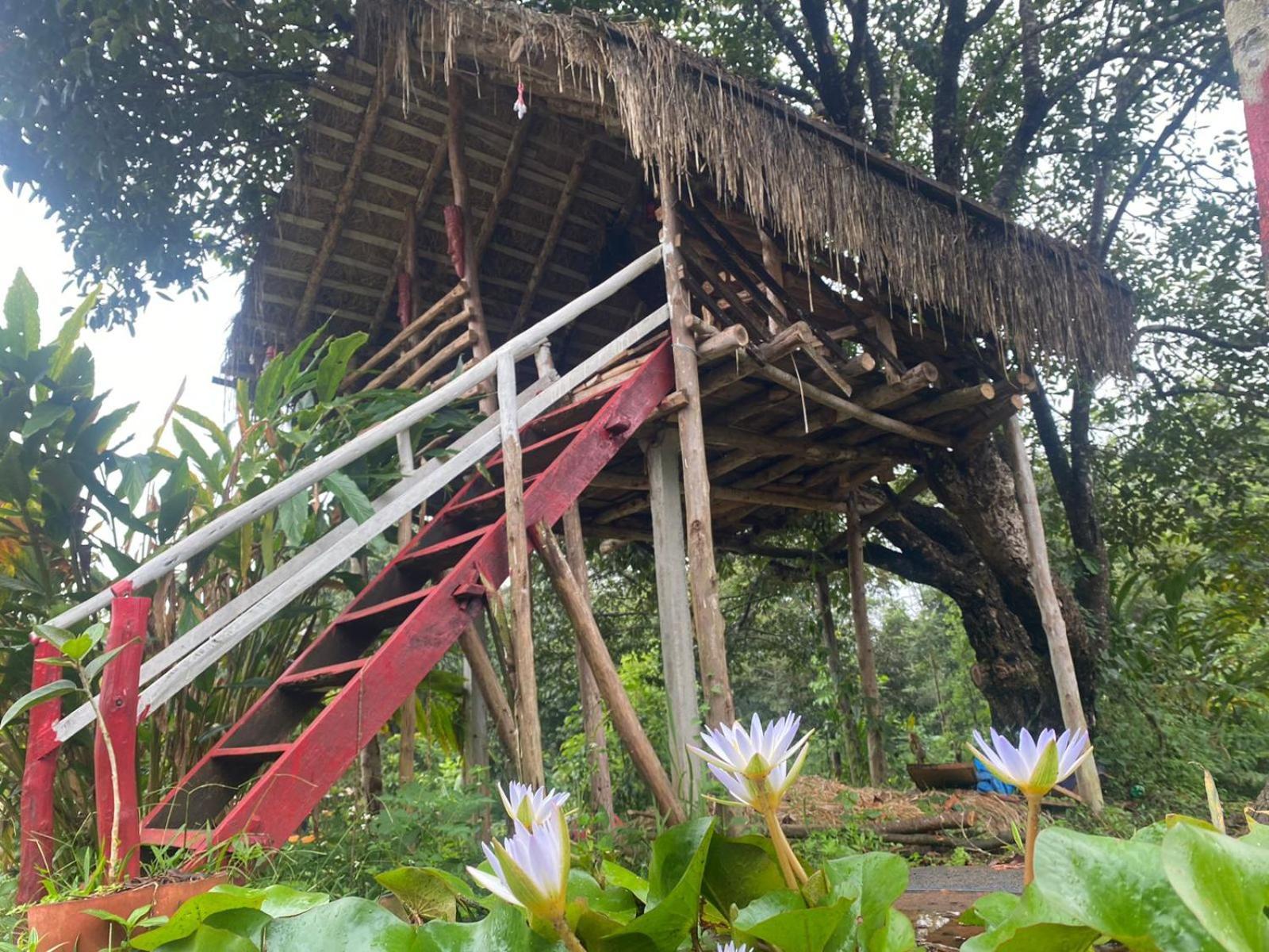 Coorg Coffee Park Somvarpet