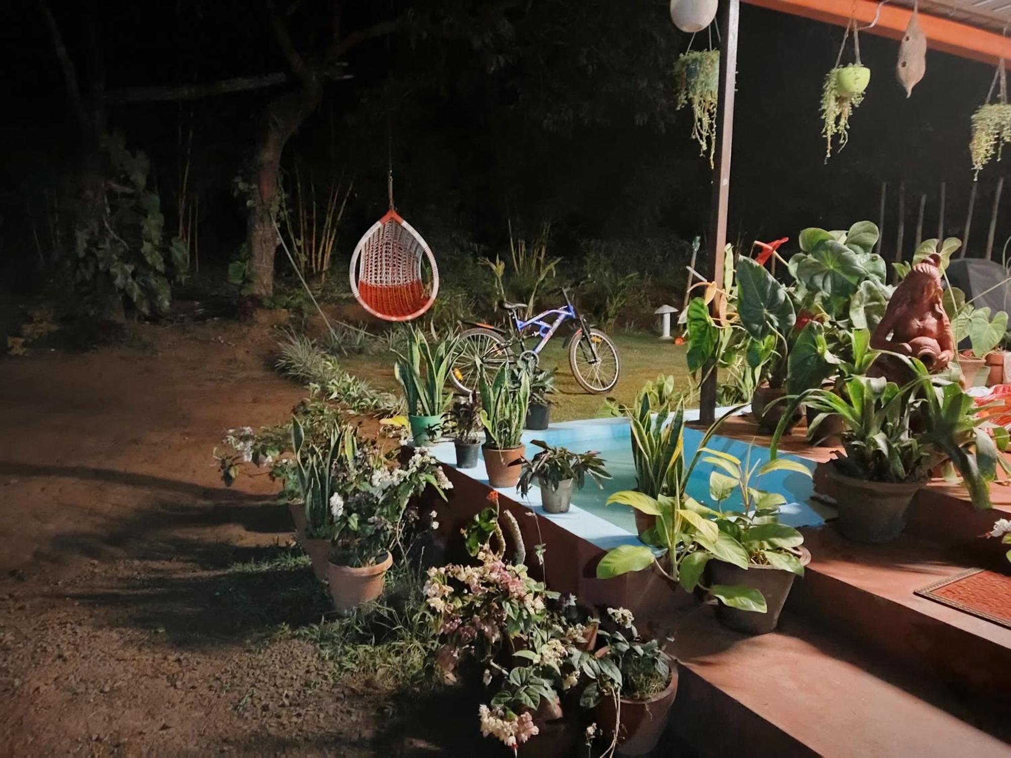 Coorg Coffee Park Homestay